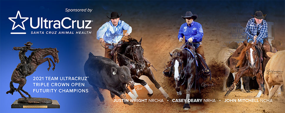Trainers sponsored by Santa Cruz Animal Health