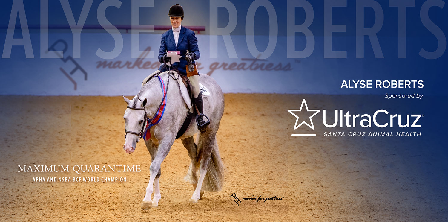 Alyse Roberts header image