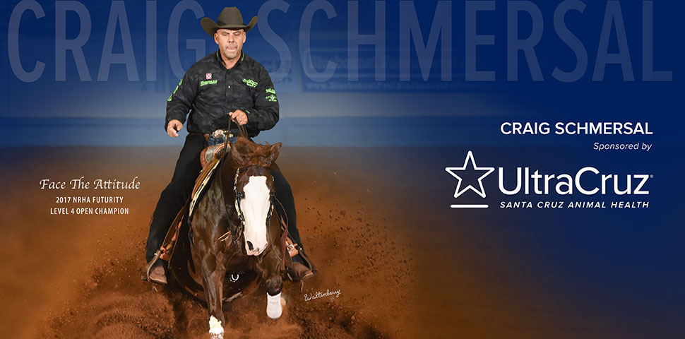 Craig Schmersal header image