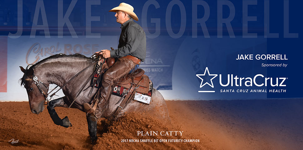 Jake Gorrell header image