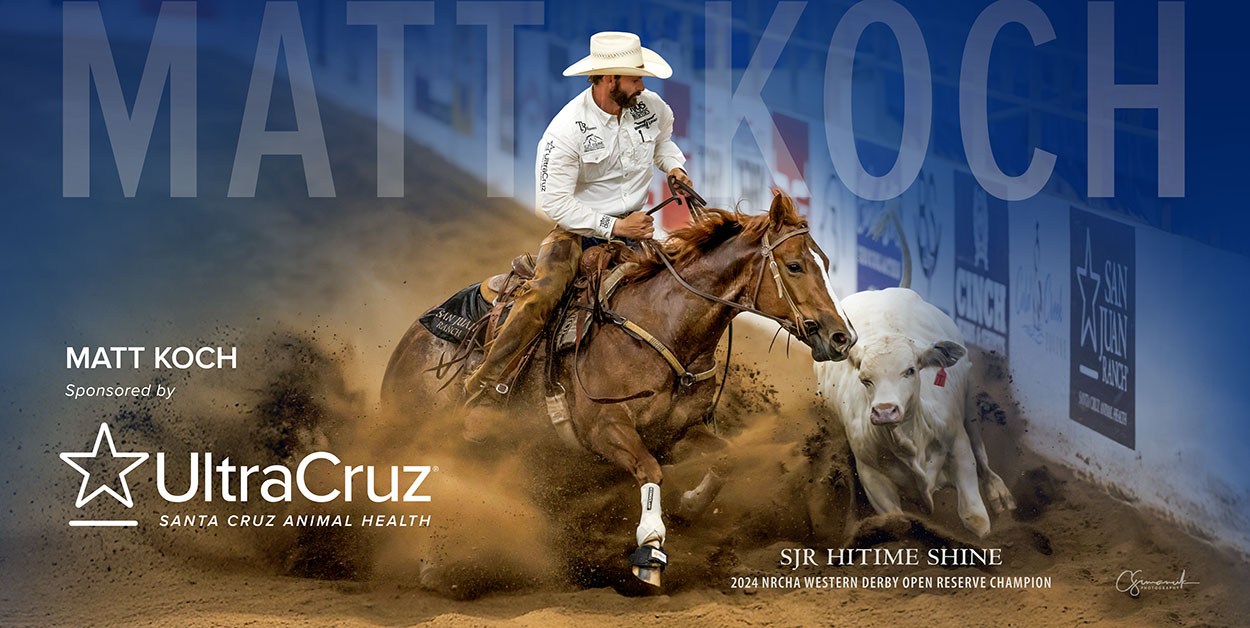 Matt Koch header image