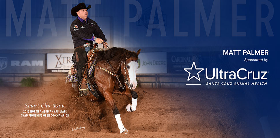 Matt Palmer header image