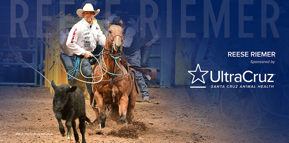 Reese Riemer header image