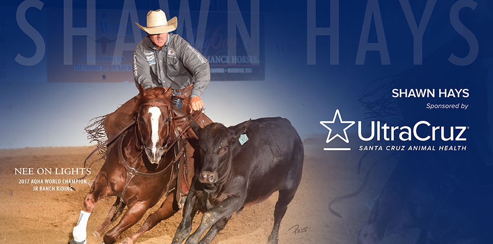 Shawn Hays header image
