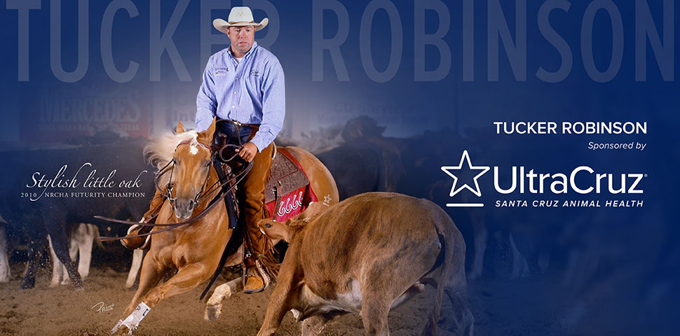 Tucker Robinson header image
