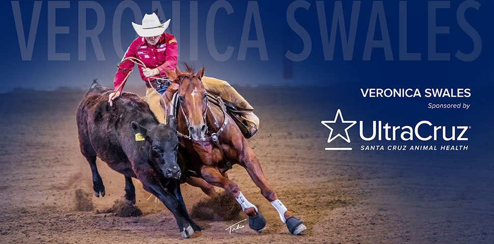 Veronica Swales header image