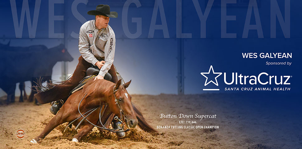 Wes Galyean header image