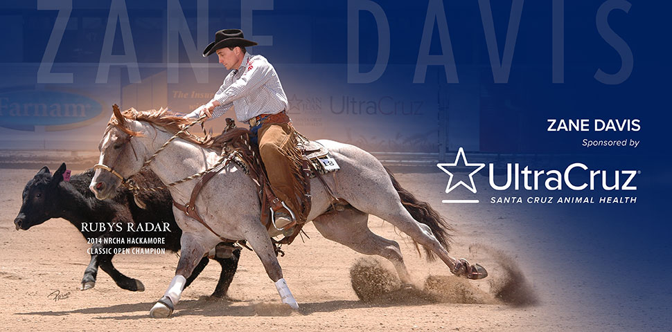 Zane Davis header image