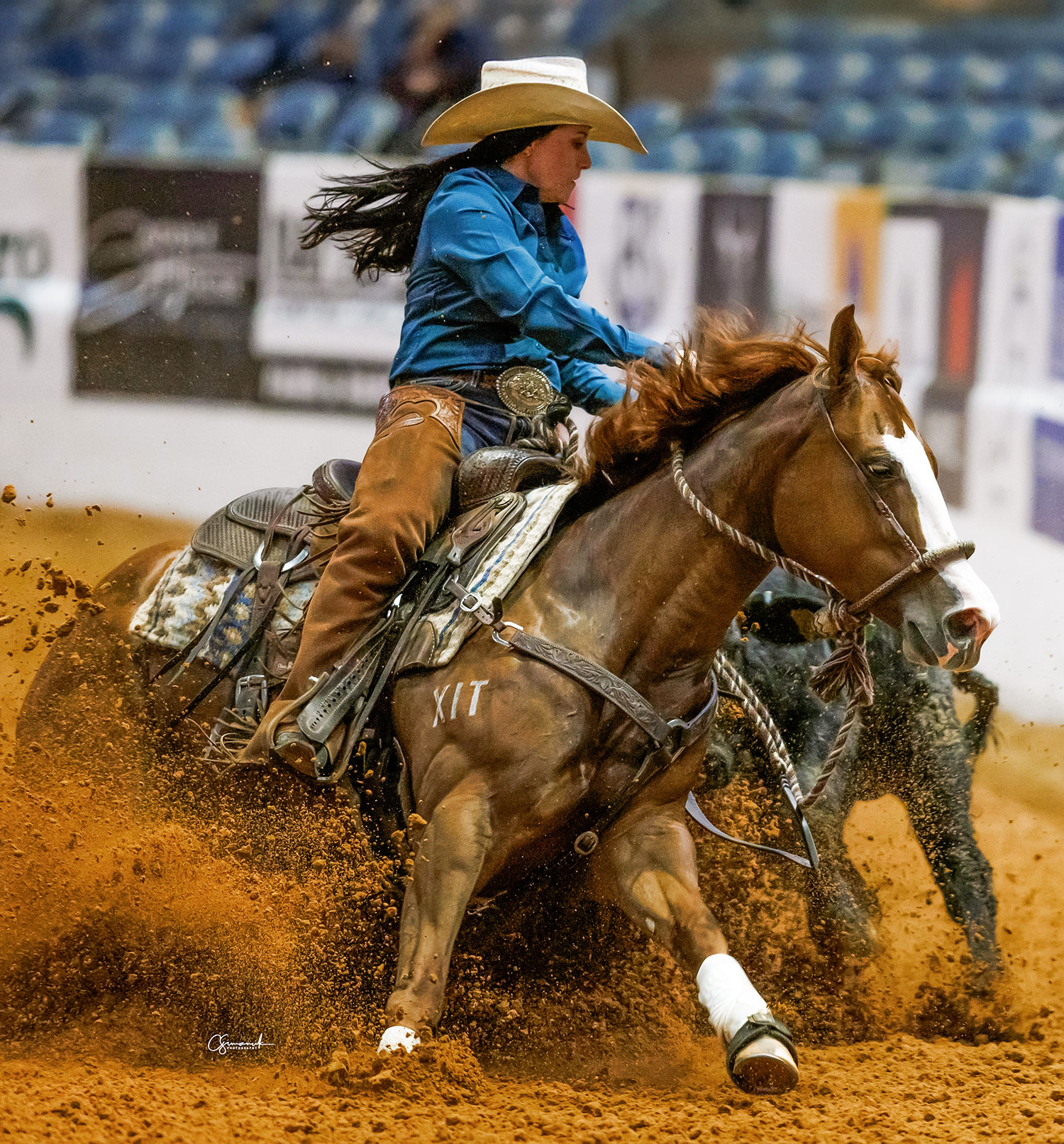 image of Abbie Phillips & XIT Rita Blanca, 2024 NRCHA Stallion Stakes Int Open Champions