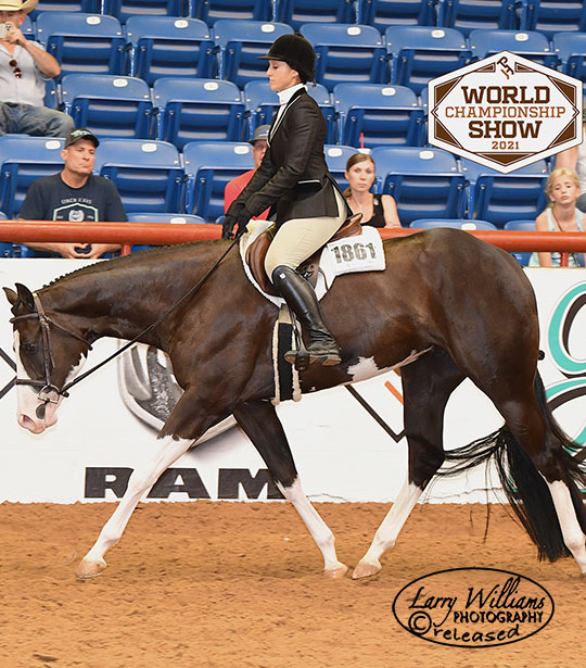 image of Alyse on Coachella – APHA World Show Reserve Champion