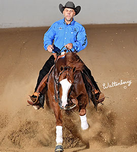 image of No Smoking Required, 2019 The Run For A Million Co-Champion