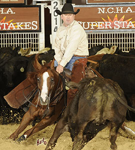 image of Junie Wood, 2014 NCHA Horse of the year