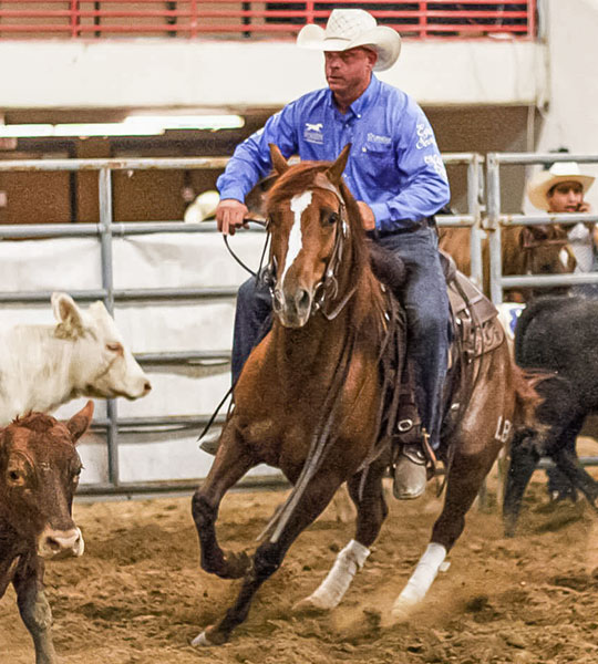 image of All American Quarter Horse Congress Super Sort Champion