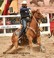 Cole Davison image